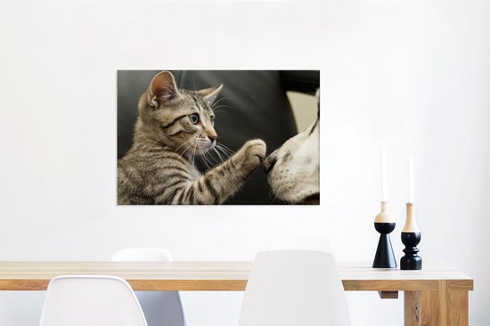 Chat jouant avec un chien 90x60 cm - Tirage photo sur toile (Décoration murale salon / chambre) / Peintures sur toile pour Animaux domestiques