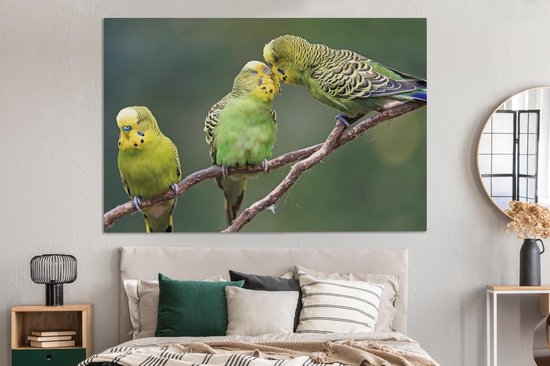 Peinture sur toile 150x100 cm - Décoration murale Trois perruches sur une branche - Décoration murale murale salon - Décoration chambre - Accessoires de chambre - Peintures