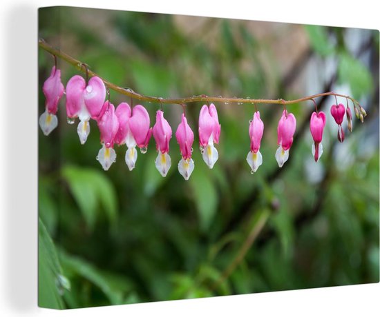 Coeurs brisés aux gouttes d'eau 180x120 cm - Tirage photo sur toile (Décoration murale salon / chambre) / Peintures Fleurs sur toile XXL / Groot format!