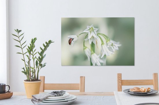 Tableau sur toile Coccinelle en gros plan sur fleur blanche - 90x60 cm - Décoration murale