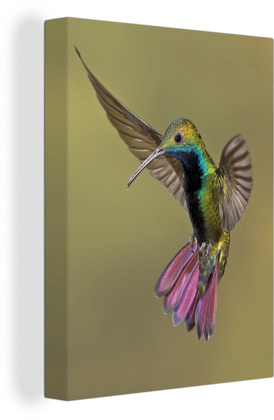 Colibri coloré à la recherche de nourriture sur toile 2cm 30x40 cm - petit - Tirage photo sur toile (Décoration murale salon / chambre)