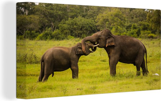 Deux éléphants de combat sur toile 2cm 30x20 cm - petit - Tirage photo sur toile (Décoration murale salon / chambre) / Animaux sauvages Peintures sur toile