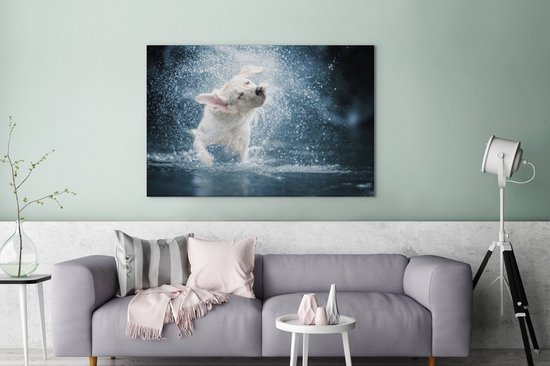 Labrador secoue la toile d'eau 2cm 140x90 cm - Tirage photo sur toile (Décoration murale salon / chambre) / Peintures sur toile pour Animaux domestiques
