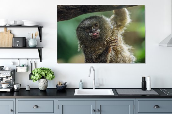 Ouistiti pygmée tirant la langue sur toile 2cm 140x90 cm - Tirage photo sur toile (Décoration murale salon / chambre) / Animaux sauvages Peintures sur toile