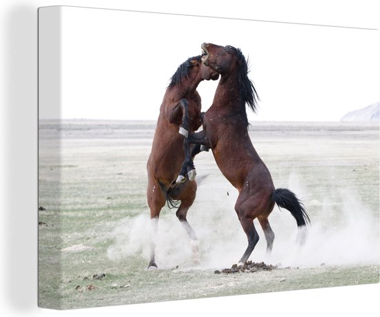 Canvas Schilderij Wilde paarden testen elkaar - 90x60 cm - Wanddecoratie