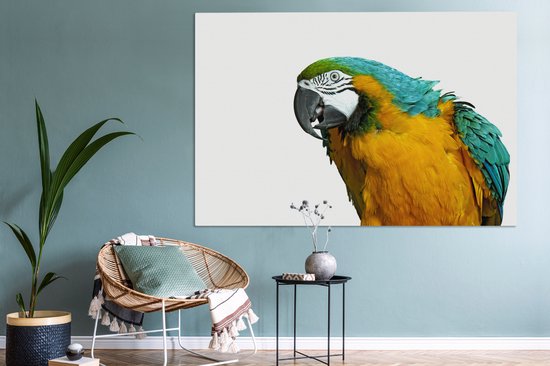 Perroquet devant toile de fond blanc 2cm 180x120 cm - Tirage photo sur Toile (Décoration murale salon / chambre) / Animaux sauvages Peintures sur toile XXL / Groot format!