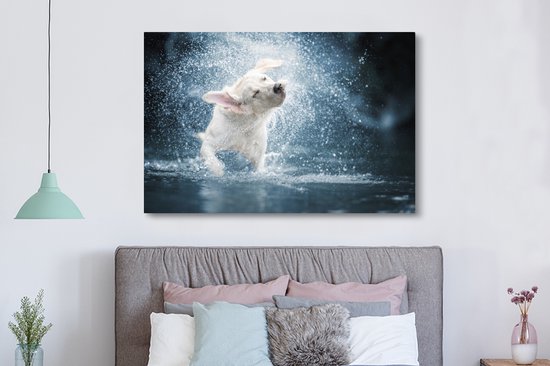 Canvas schilderij 150x100 cm - Wanddecoratie Labrador schudt water van zich af - Muurdecoratie woonkamer - Slaapkamer decoratie - Kamer accessoires - Schilderijen