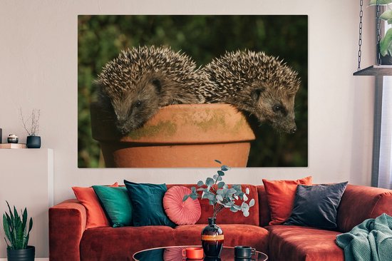Tableau sur toile Deux hérissons sur un pot - 150x100 cm - Décoration murale
