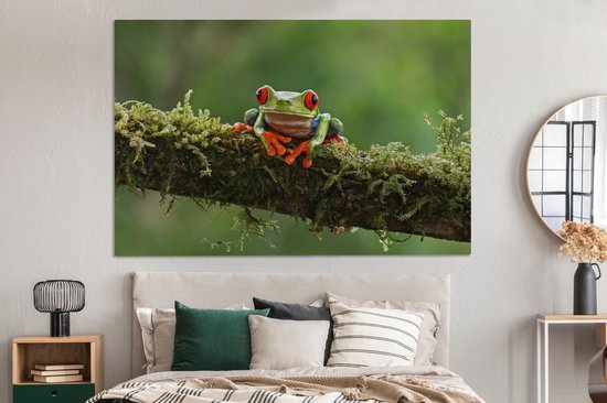 Grenouille d'arbre aux yeux rouges sur toile de branche couverte 2cm 150x100 cm - Impression photo sur toile (Décoration murale salon / chambre) / Peintures sur toile animaux sauvages