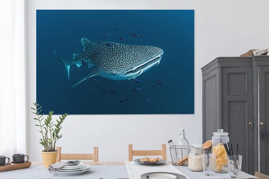Tableau sur toile Un requin baleine à pois - 150x100 cm - Décoration murale