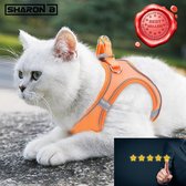 Kattentuigje - Dierentuigje - Maat XXXS - Oranje - Voor hele kleine katten - Reflecterend - 5 jaar garantie
