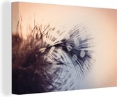 Canvas schilderij 140x90 cm - Wanddecoratie Veer fotoprint - Muurdecoratie woonkamer - Slaapkamer decoratie - Kamer accessoires - Schilderijen