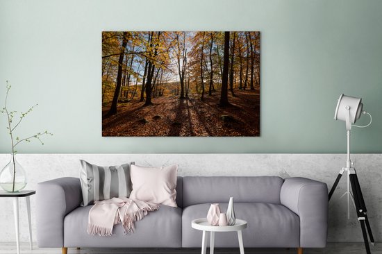 Couleurs d'automne dans les bois du parc national suédois Söderåsen Toile 120x80 cm - Tirage photo sur toile (Décoration murale salon / chambre)