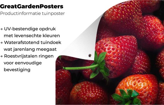 Affiche jardin - Toile Posters de jardin extérieur - Fraises - Fruits - Feuilles - 120x80 cm - Jardin