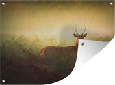 Affiche de jardin Animaux dans le champ (1X) - Cerf dans un champ avec des fougères affiche de jardin toile en vrac 80x60 cm - Toile de jardin / Toile d'extérieur / Peintures pour l'extérieur (décoration de jardin)