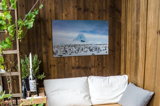 Tuinposter 90x60 cm - Tuindecoratie Pinguïns op Antarctica - Poster voor in de tuin - Buiten decoratie - Schutting tuinschilderij - Tuindoek muurdecoratie - Wanddecoratie balkondoek