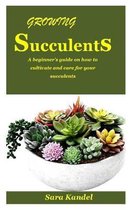 Growing Succulents Guide