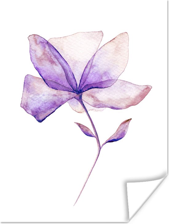Aquarel illustratie paarse bloem poster papier 120x160 cm - Foto print op Poster (wanddecoratie woonkamer / slaapkamer) / Kunst Poster XXL / Groot formaat!