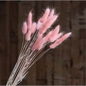 Gedroogd en Gekleurd Haasstaartgras Decoratie voor binnenhuis -  - Roze