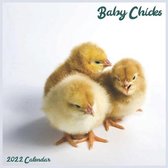 Baby Chicks 2022 Calendar