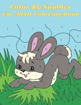 Color By Number For Adult Coloring Book