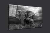 Elephant 90x60 5mm plexiglas top kwaliteit van plexiglas