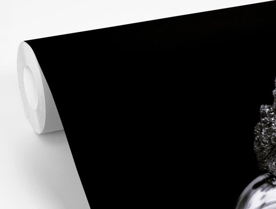 Papier peint - Papier peint Papier peint photo Coq - Vogel - Zwart - Wit - Largeur 600 cm x hauteur 400 cm