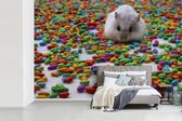 Behang - Fotobehang Hamster tussen het kleurrijke snoep - Breedte 330 cm x hoogte 220 cm