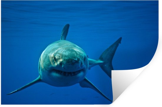 Muurstickers - Sticker Folie - Grote witte haai zwemt in de oceaan - 120x80 cm - Plakfolie - Muurstickers Kinderkamer - Zelfklevend Behang - Zelfklevend behangpapier - Stickerfolie