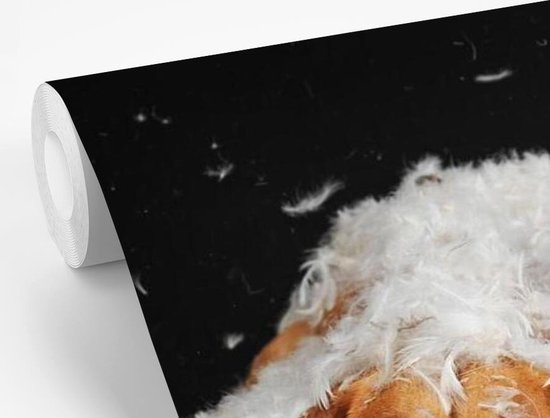Papier peint photo peint photo vinyle - Labradors cachés entre les plumes largeur 390 cm x hauteur 260 cm - Tirage photo sur papier peint (disponible en 7 tailles)