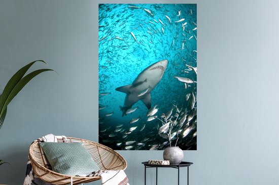 Stickers muraux - Un requin parmi les poissons - 60x90 cm - Film adhésif