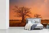 Behang - Fotobehang Oranje lucht achter baobab bomen - Breedte 420 cm x hoogte 280 cm