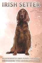 Irish Setter