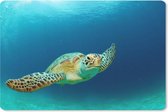 Muismat Schildpad - Close-up foto van groene zeeschildpad muismat rubber - 27x18 cm - Muismat met foto