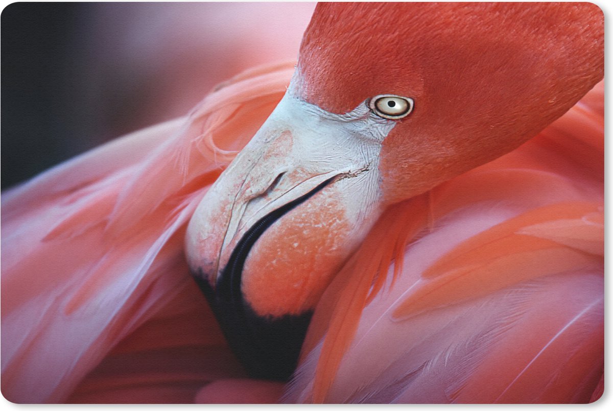 Muismat Flamingo - Close-up van een flamingo muismat rubber - 27x18 cm - Muismat met foto
