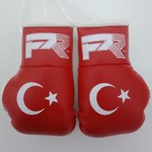 PunchR Mini Carhanger Bokshandschoenen Turkije PunchR Carhanger Mini Bokshandschoenen