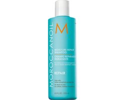 Foto: Moroccanoil moisture repair shampoo 250 ml