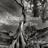 Ancient Trees Portraits Of Time