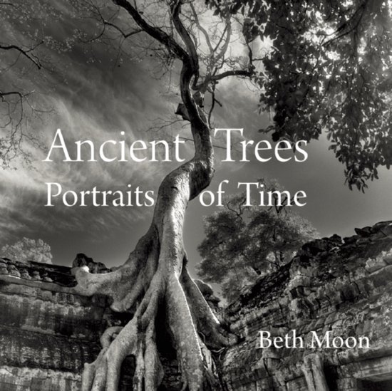 Ancient Trees Portraits Of Time