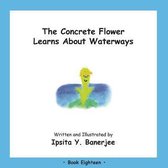 Concrete Flower-The Concrete Flower Learns About Waterways