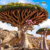 Socotra Island, Yemen