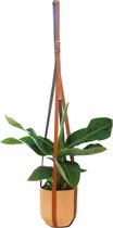 Handige planten hanger : Buckle Up Planter. Verkrijgbaar in zwart en cognac kleur.  Verstelbaar in lengte maximale lengte 90 cm, de leren riem is in te korten naar een lengte 75 cm