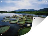 Tuinposter - Tuindoek - Tuinposters buiten - De Pantanal aan een rivier met waterlelies in Zuid-Amerika - 120x90 cm - Tuin