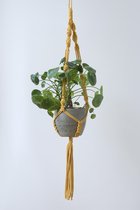 Macramé plantenhanger - okergeel - Hoge kwaliteit - gerecycled Oeko-tex katoen - handgemaakt in NL -  Lengte 90 cm