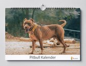 Cadeautip!  Pitbull verjaardagskalender | Pitbulls wandkalender | Verjaardagskalender 35x24 cm