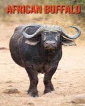 African Buffalo