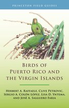 Princeton Field Guides 146 - Birds of Puerto Rico and the Virgin Islands