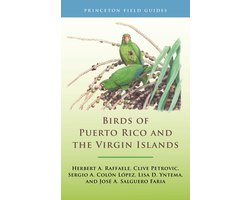 Princeton Field Guides 146 - Birds of Puerto Rico and the Virgin Islands
