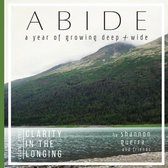 Abide- Clarity in the Longing