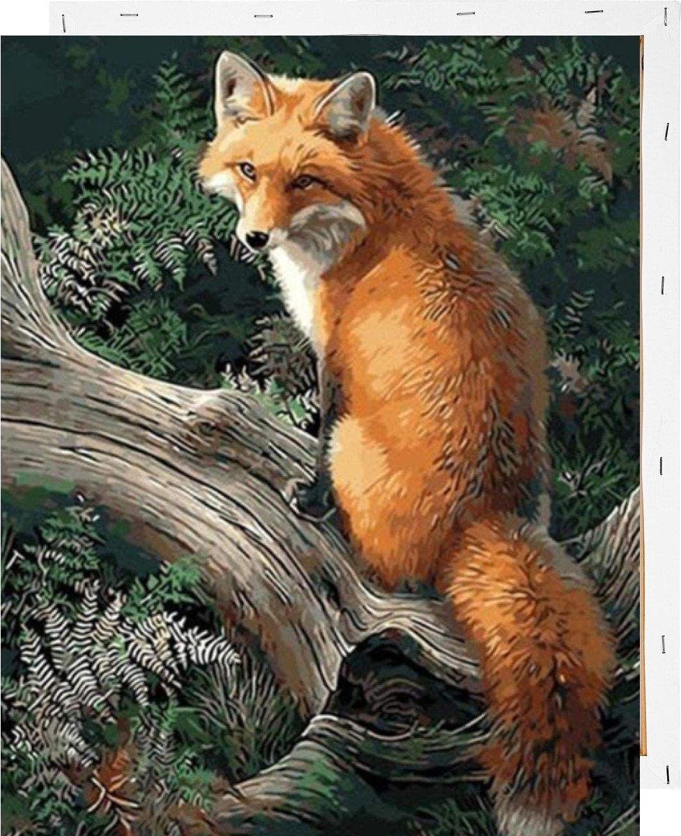 Schilderen op Nummer Vos 40x50 met Frame Volwassenen Kinderen
